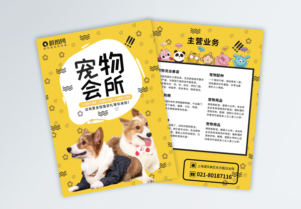 宠物箱海报设计 连接温暖与专业的宠物服务窗口