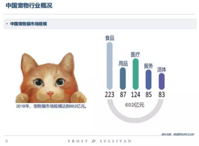 高收入、高学历的单身人群，养宠前请先算清这笔账