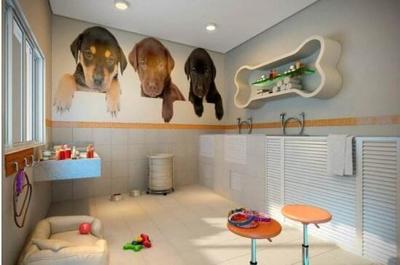 开一家宠物店需要多少钱？——宠老板为您详细解析