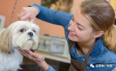 宠物医院抖音线上推广攻略 打造专业又温暖的宠物服务品牌