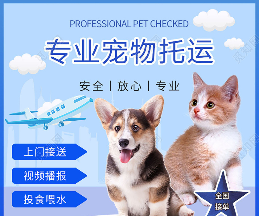 蓝色几何宠物专业宠物托运宣传主图 | 宠物服务主图