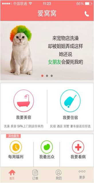 论颜值的重要性 美女创业者不需要商业计划书？—宠物服务视角的重新审视
