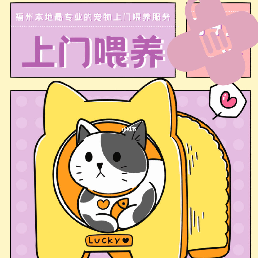 春节期间福州宠物上门喂养服务接单忙，用心守护毛孩子过年团圆
