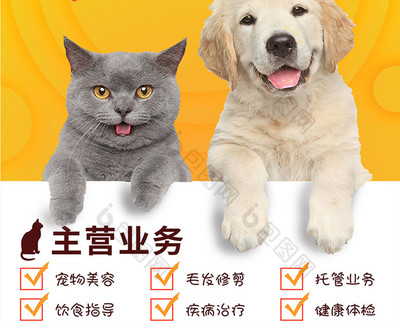 黄色可爱宠物店铺海报