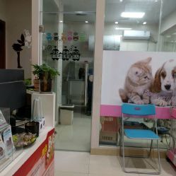 洪星1998宠物店详细信息 电话、地址、价格、营业时间及图片