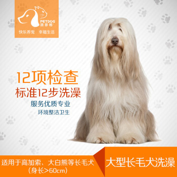 宠物产业链的兴起 从食品到服务的全面覆盖