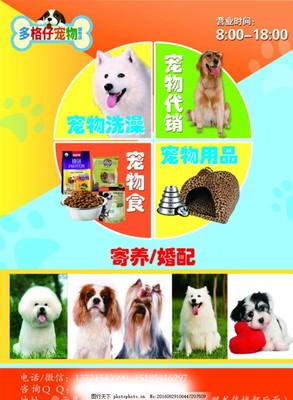 宠物服务传单与海报设计模板推荐